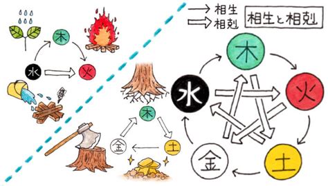 相剋相生|第24回 木火土金水の正しい関係（相生と相剋） 